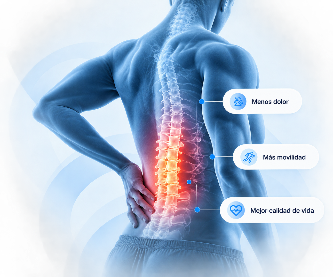 Ilustración médica de la columna vertebral